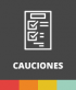 ICON_CAUCIONES